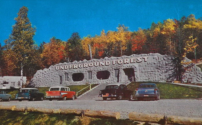 Underground Forest - Old Postcard (newer photo)